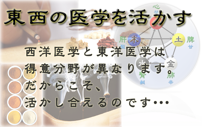 西洋医学　東洋医学　両輪　活かし合う　互助