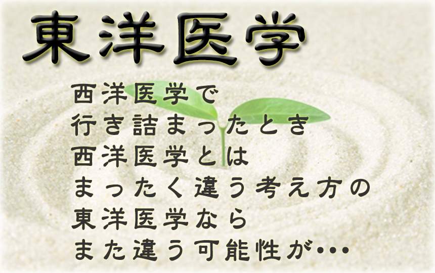 キクイチ薬局 漢方薬 漢方 東洋医学　瘀血　おけつ　不妊治療